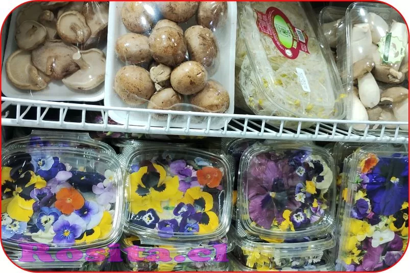 flores_comestibles
