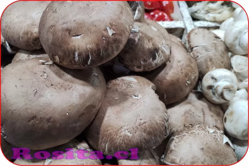 shiitake2
